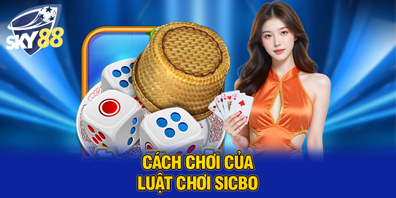Luật Chơi Sicbo Chi Tiết Và Chuẩn Xác Cho Người Mới Bắt Đầu 1 Luật Chơi Sicbo Chi Tiết Và Chuẩn Xác Cho Người Mới Bắt Đầu